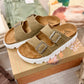 Easy Breeze Buckles