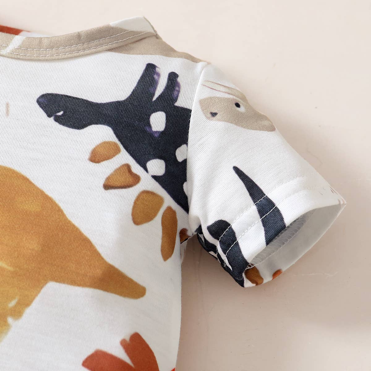 Baby Boy Dinosaur Print Long-sleeve Sweatshirt