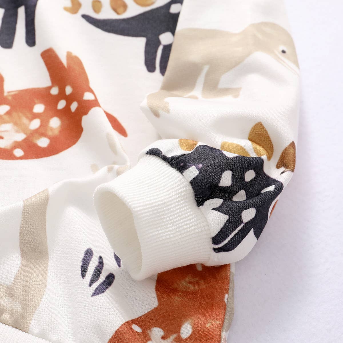 Baby Boy Dinosaur Print Long-sleeve Sweatshirt