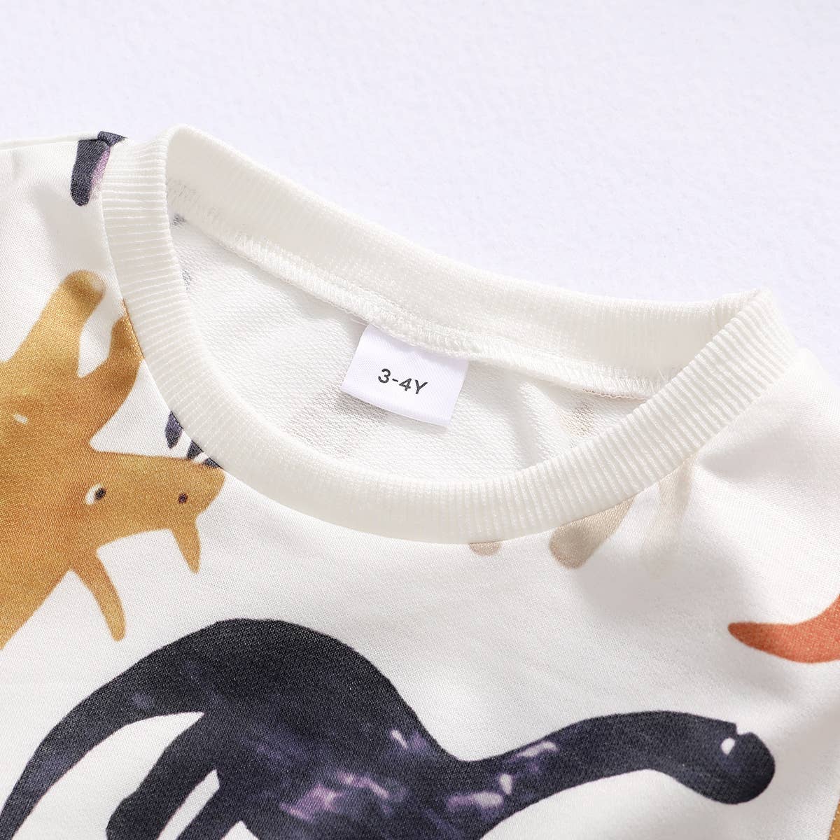 Baby Boy Dinosaur Print Long-sleeve Sweatshirt