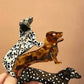 TRENDING DOG SERIES - DOG HAIR CLAW CLIPS