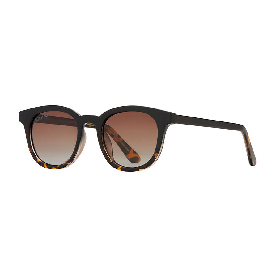Gram  - Onyx To Walnut Tortoise Fade / Gradient Br